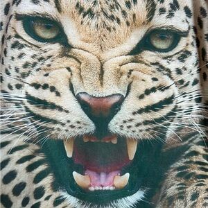 Growling Leopard Face - Animal Print Sleeveless Tank Top